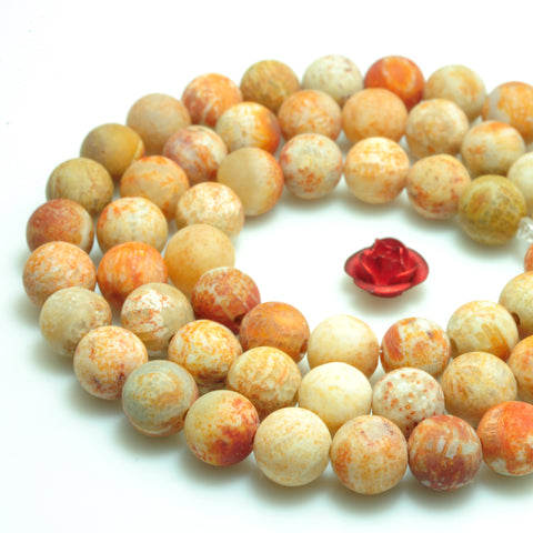 YesBeads Natural Fossil Coral Jasper matte round beads gemstone wholesale jewelry 15"