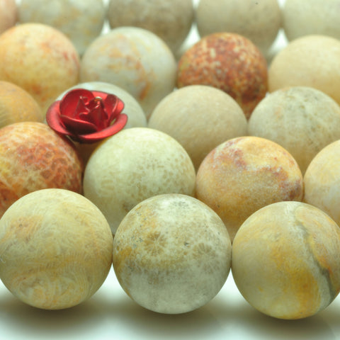 YesBeads natural Fossil Coral matte round beads wholesale gemsotne jewelry making 15'' full strand