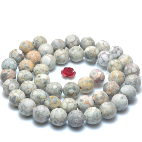 YesBeads Natural Maifanite Fossil Jasper matte round beads wholesale gemstone jewelry 6mm-12mm 15"
