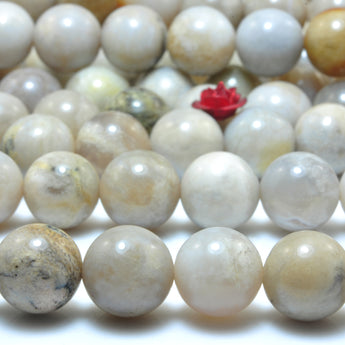 YesBeads Natural ocean fossil coral agate smooth round beads wholesale gemstone jewelry 15"