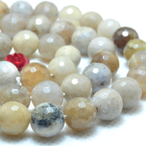 YesBeads Natural ocean fossil coral agate faceted  round beads wholesale gemstone jewelry 15"