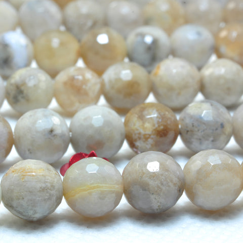 YesBeads Natural ocean fossil coral agate faceted  round beads wholesale gemstone jewelry 15"