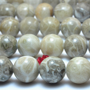 YesBeads Natural Fossil Coral Jasper smooth round loose beads wholesale gemstone jewelry making 15"
