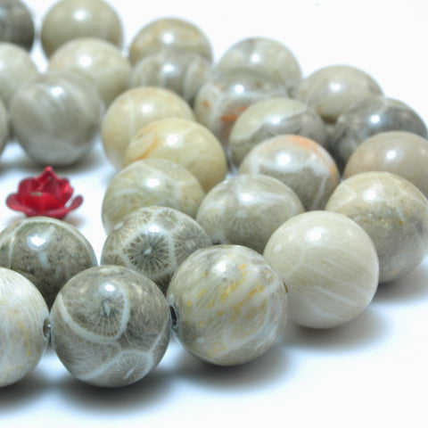 YesBeads Natural Fossil Coral Jasper smooth round loose beads wholesale gemstone jewelry making 15"
