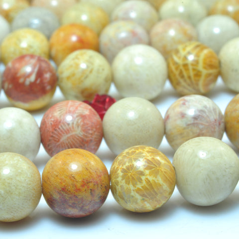 YesBeads Natural Fossil Coral Jasper smooth round beads wholesale gemstone jewelry 15"