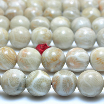 YesBeads Natural Fossil Coral Jasper A grade smooth round beads wholesale gemstone jewelry 15"