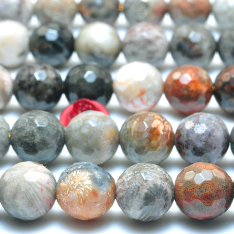 YesBeads Natural Fossil Coral Jasper faceted round loose beads wholesale gemstone jewelry making 15"