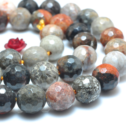 YesBeads Natural Fossil Coral Jasper faceted round loose beads wholesale gemstone jewelry making 15"